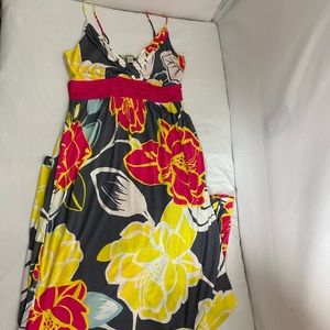 Spring & Mercer dress maxi